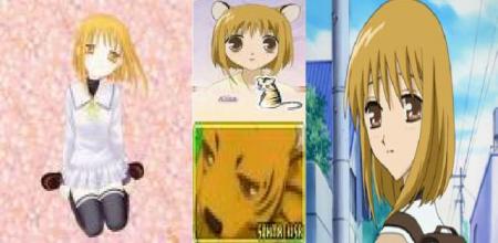Kisa,tigre