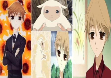Hiro,mouton